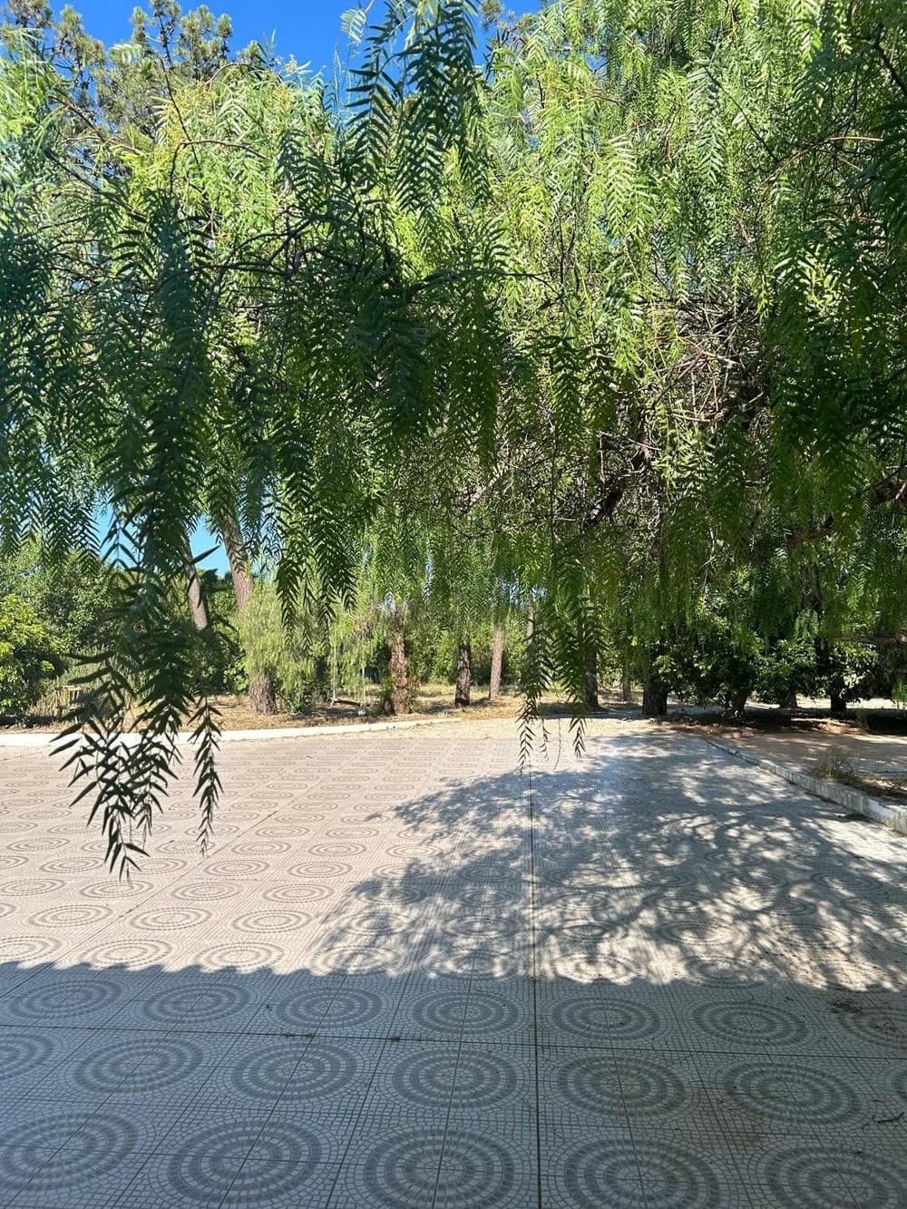 Outdoor surroundings at Casa Amarela