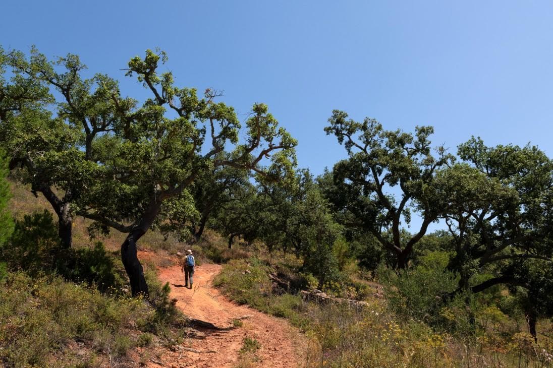 Via Algarviana walking trail in the Algarve countryside