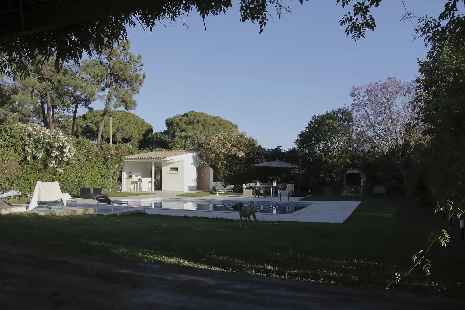 Swimming pool and gardens at Quinta Verde Algarve
